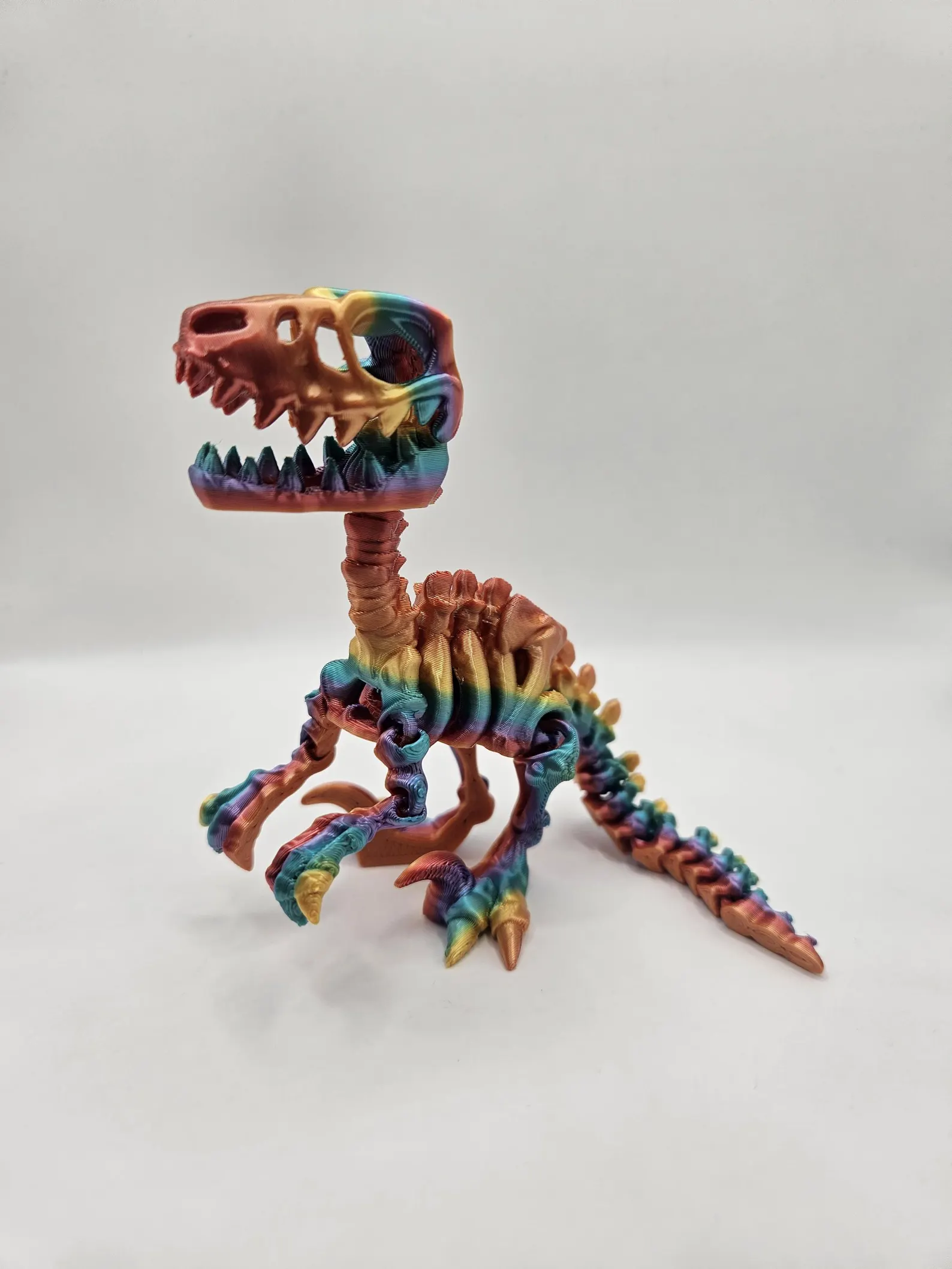 Skeleton Raptor - Image 3