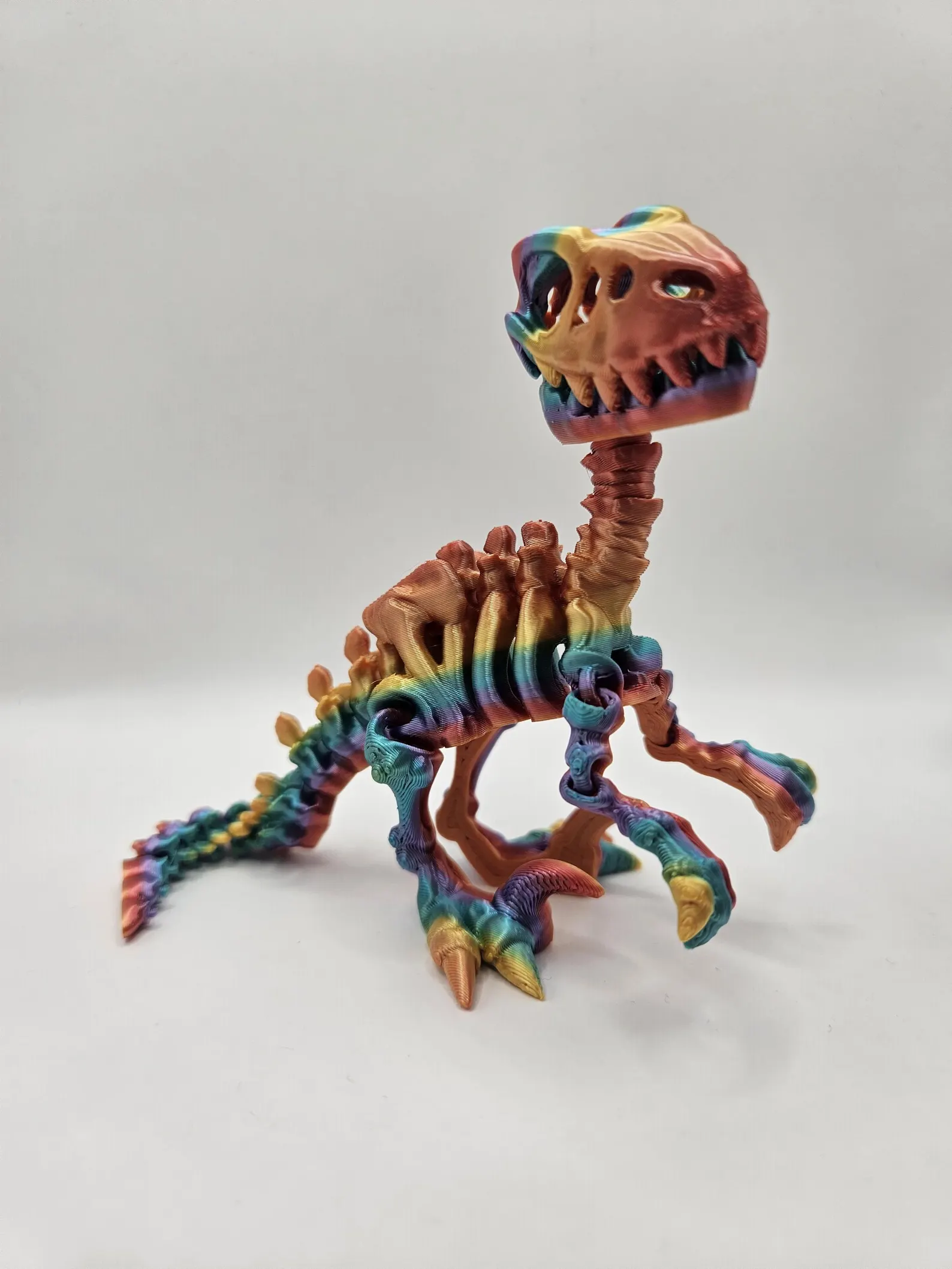 Skeleton Raptor - Image 4