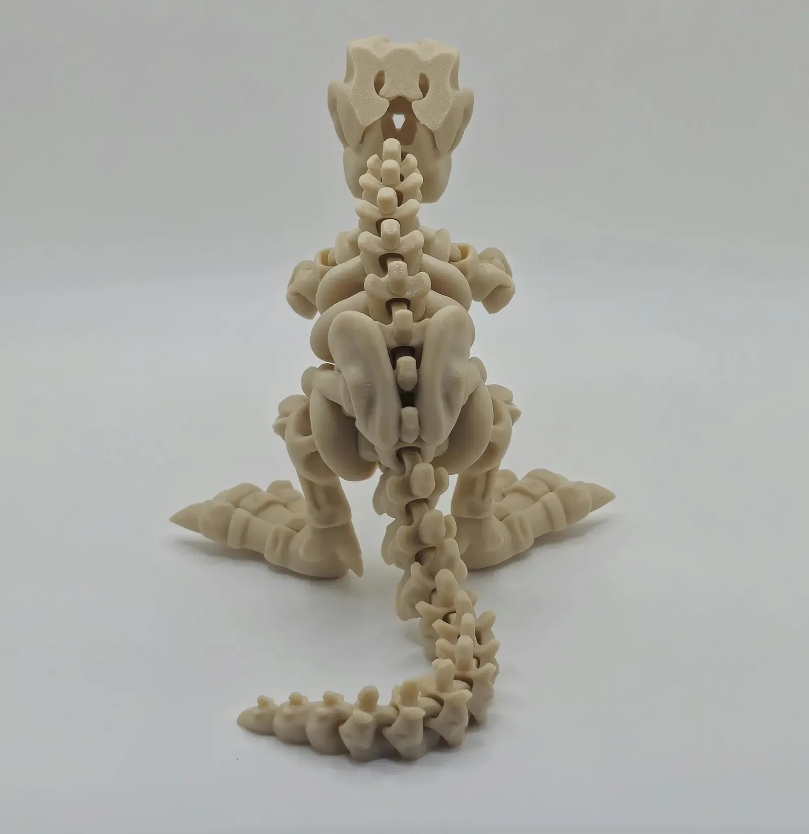 Skeleton T-Rex - Image 3