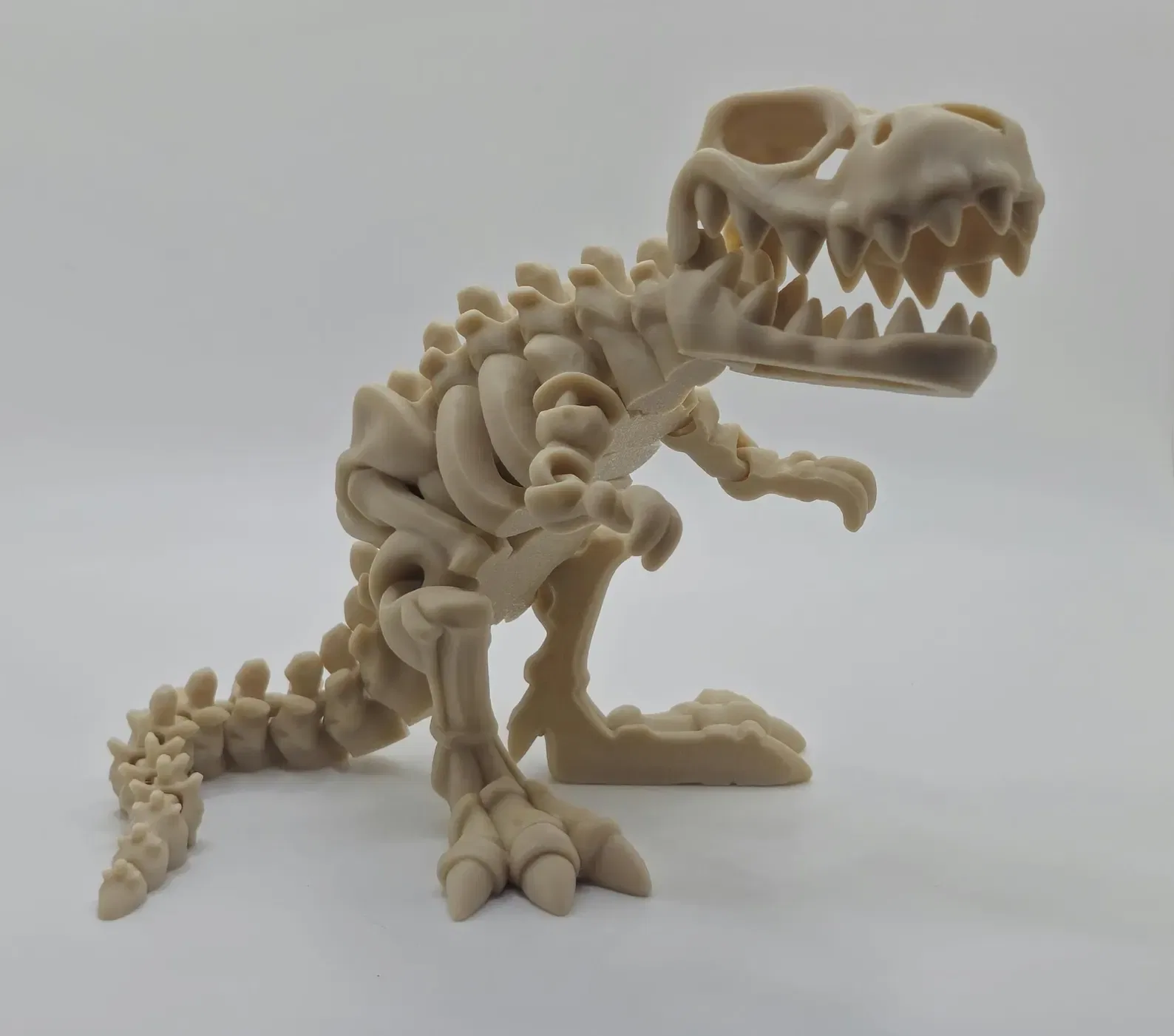 Skeleton T-Rex