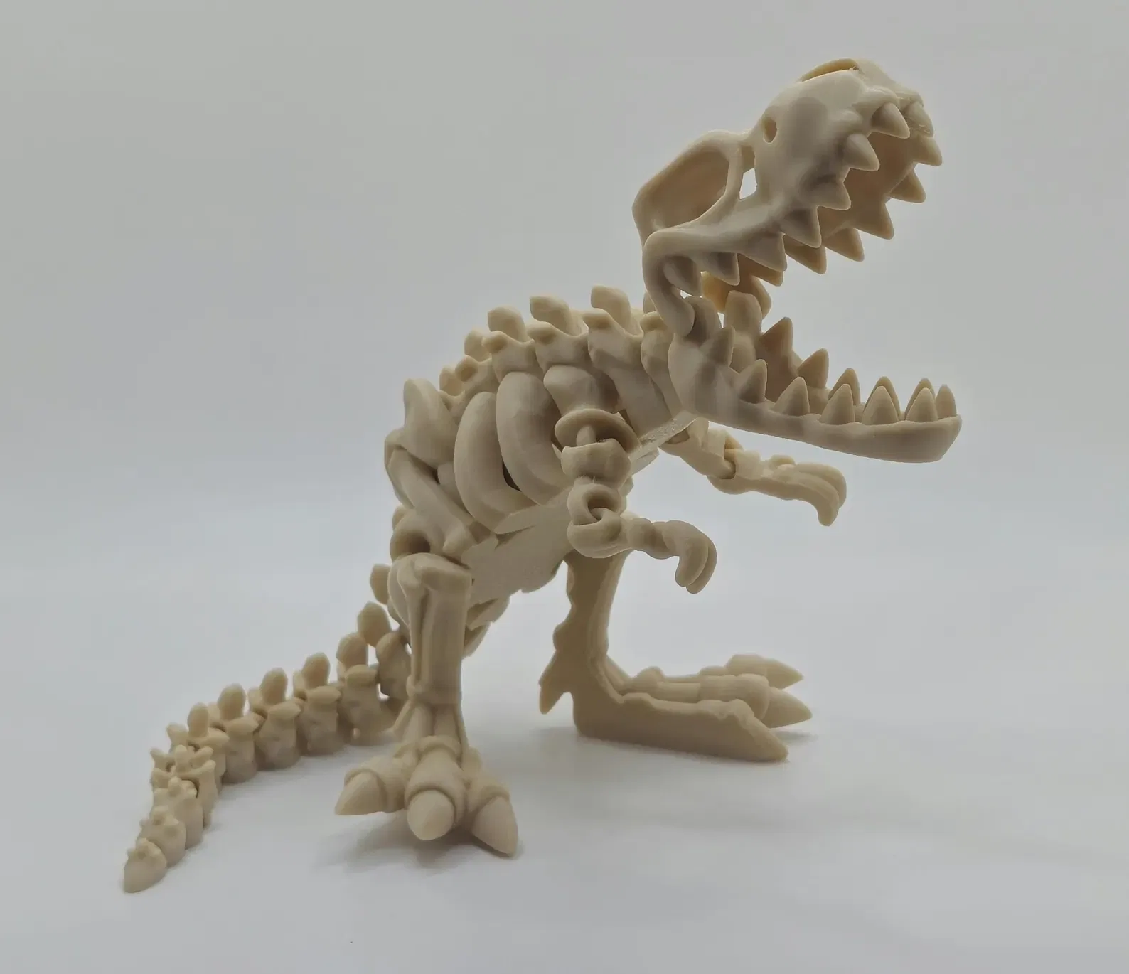 Skeleton T-Rex - Image 2