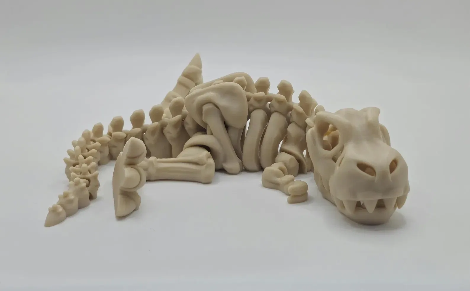 Skeleton T-Rex - Image 4