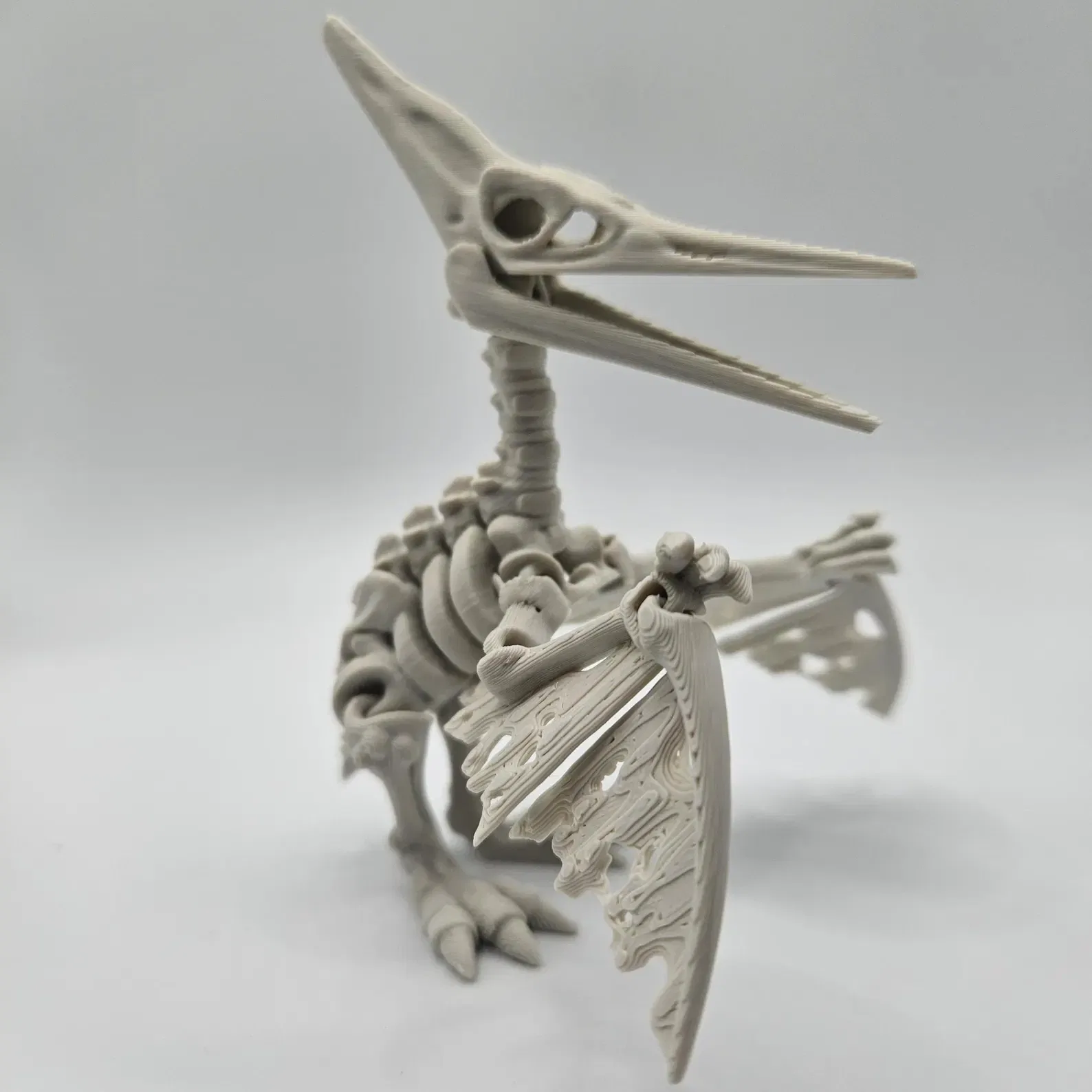 Skeleton Pteranodon - Image 3
