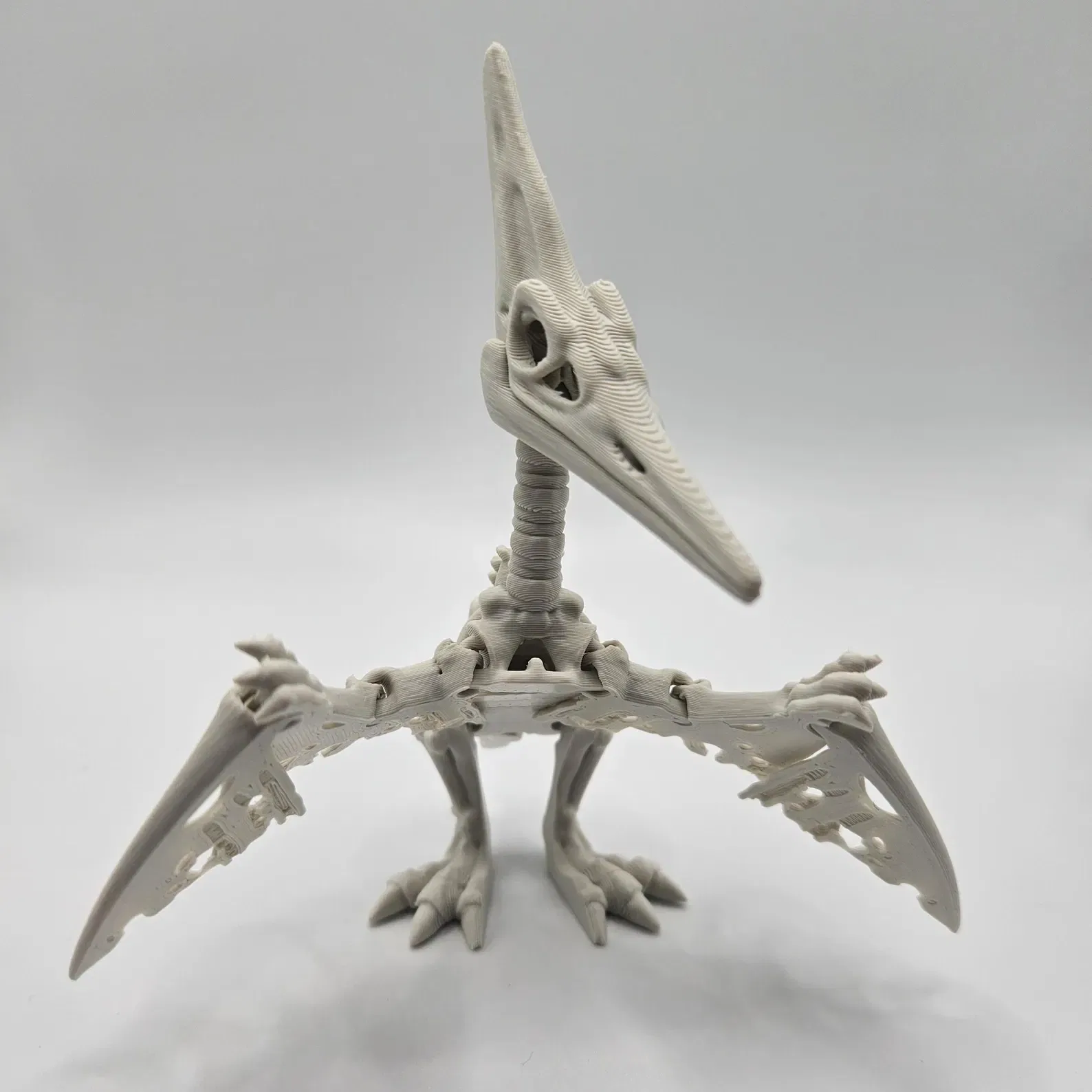 Skeleton Pteranodon