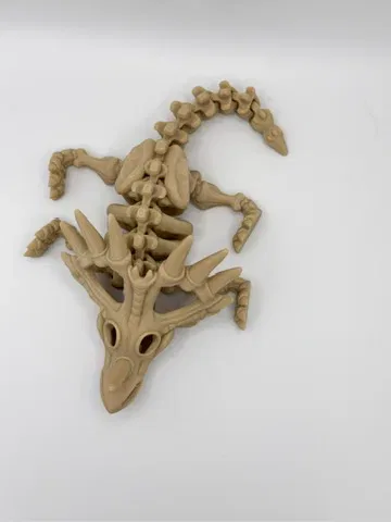 Skeleton Styracosaurus - Image 4