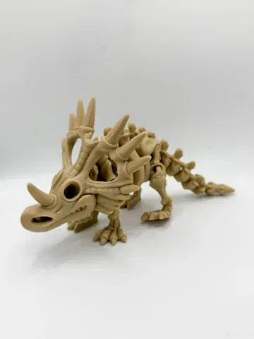 Skeleton Styracosaurus - Image 2