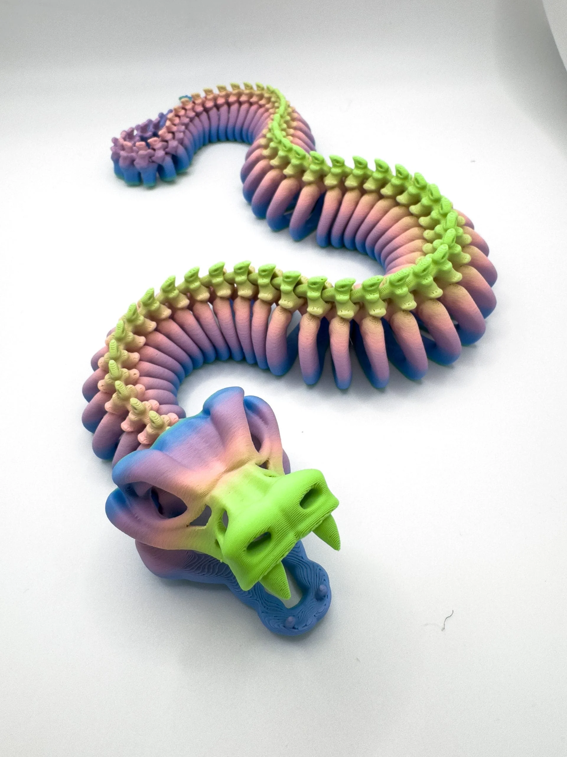 Articulated Snake Skeleton - Image 8