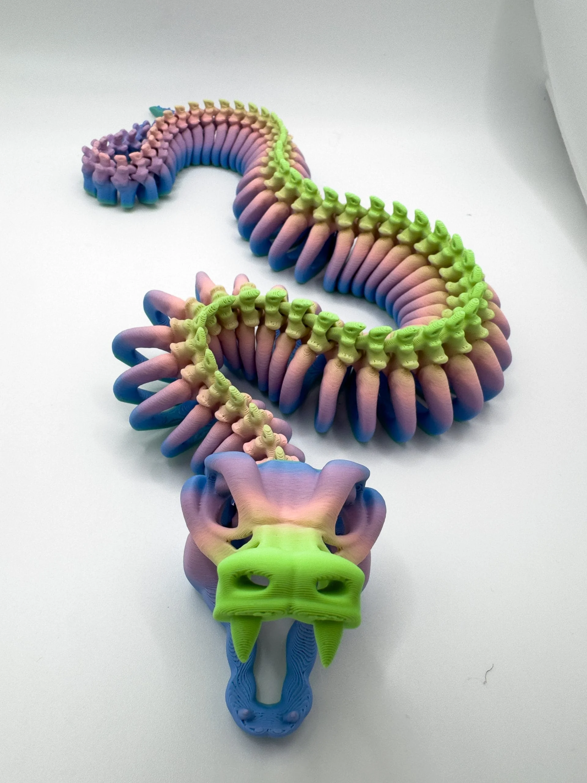 Articulated Snake Skeleton - Image 6