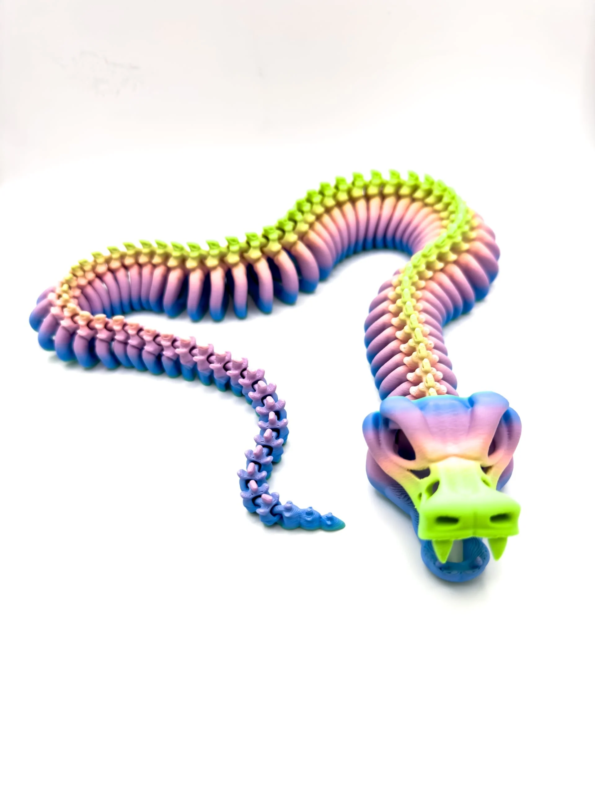 Articulated Snake Skeleton - Image 5