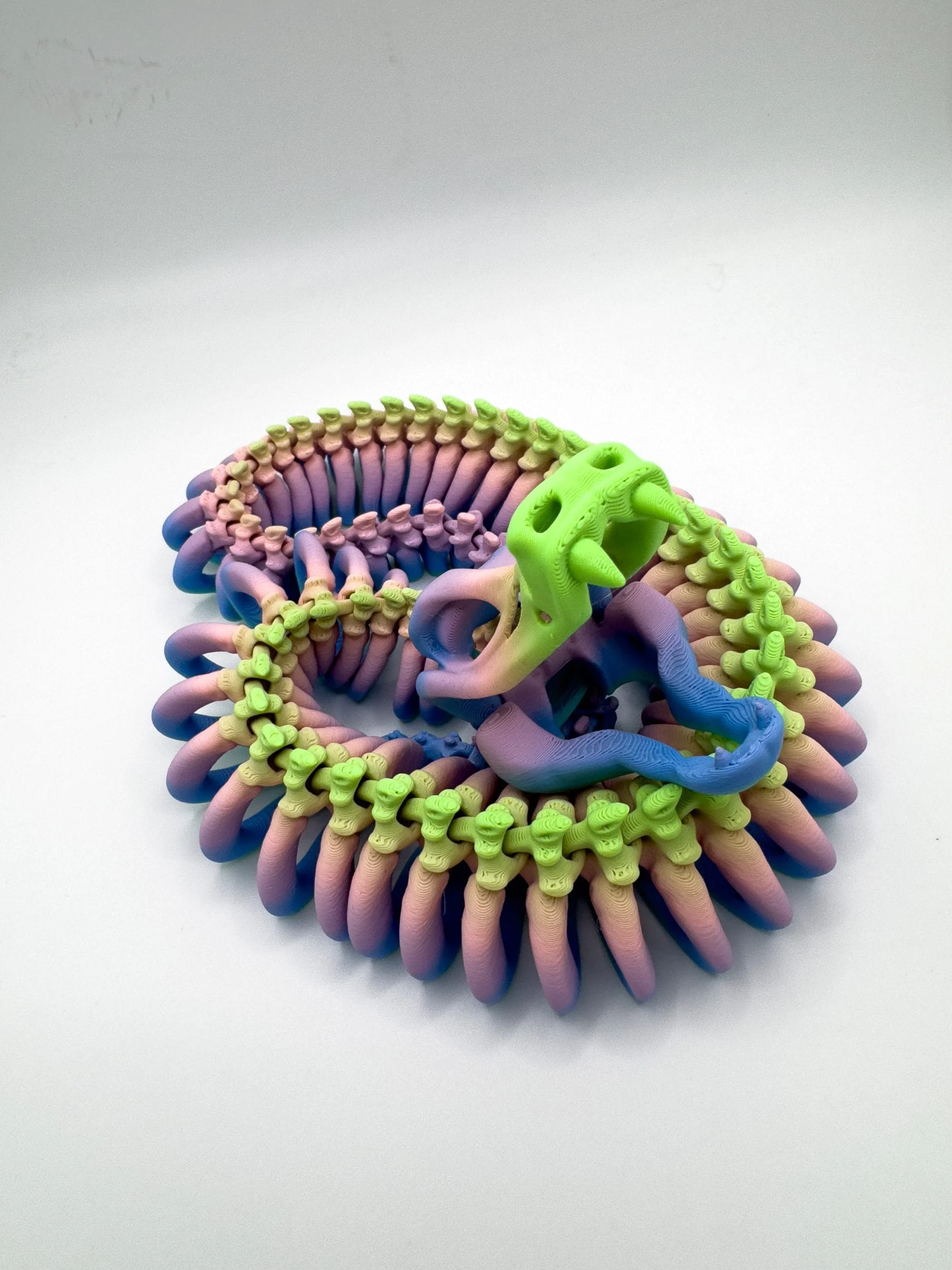 Articulated Snake Skeleton - Image 4