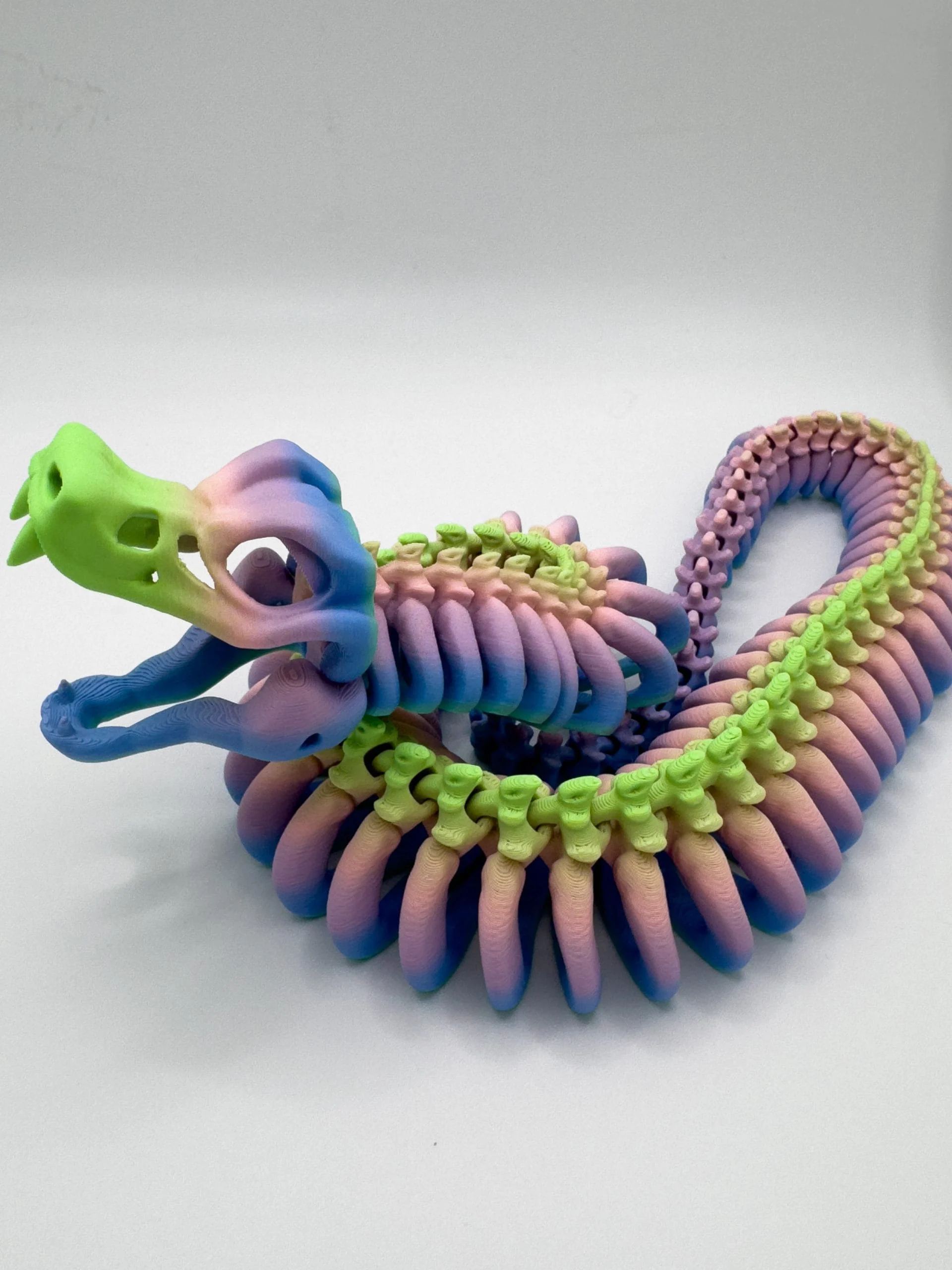 Articulated Snake Skeleton - Image 3