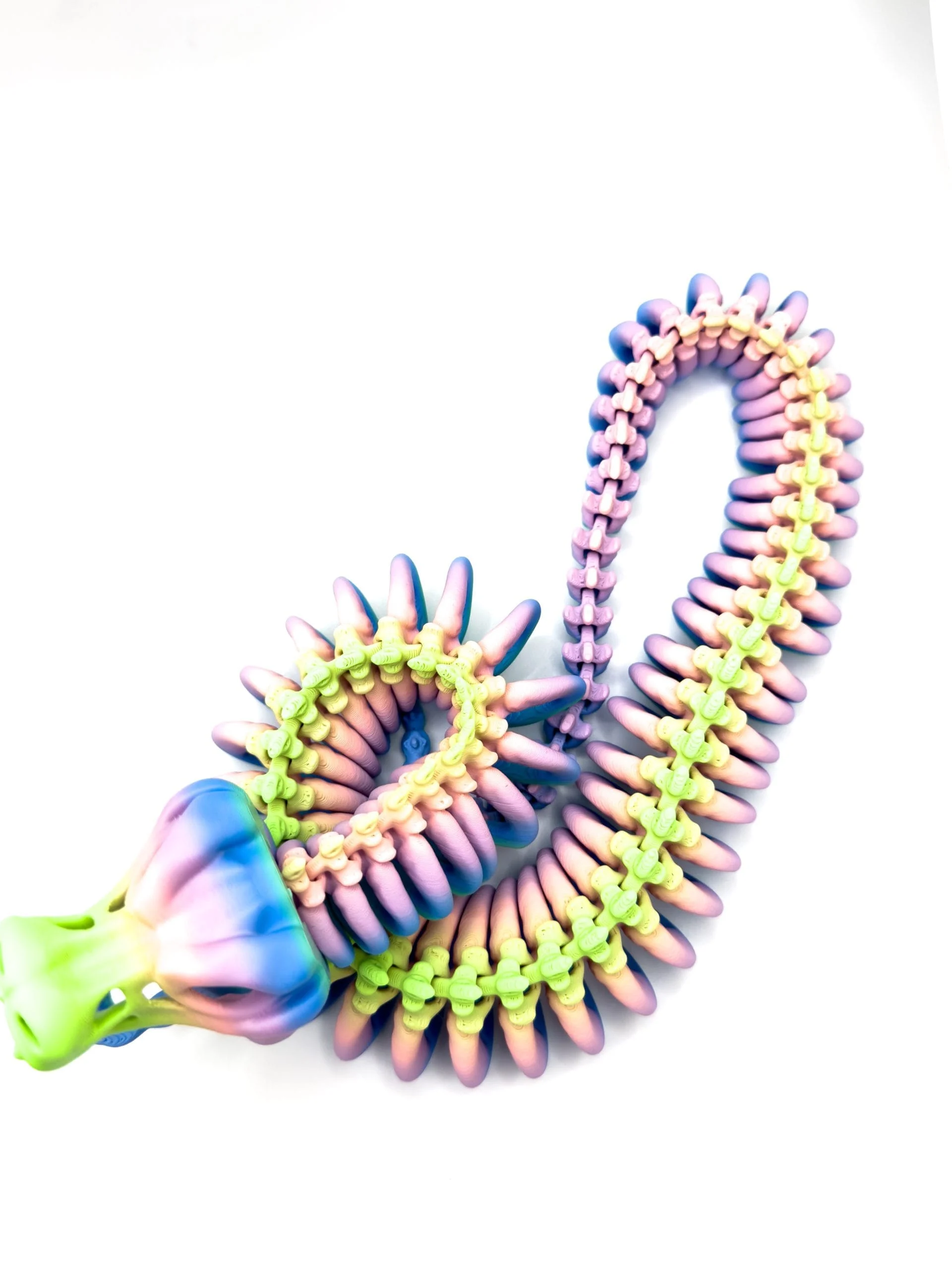 Articulated Snake Skeleton - Image 2