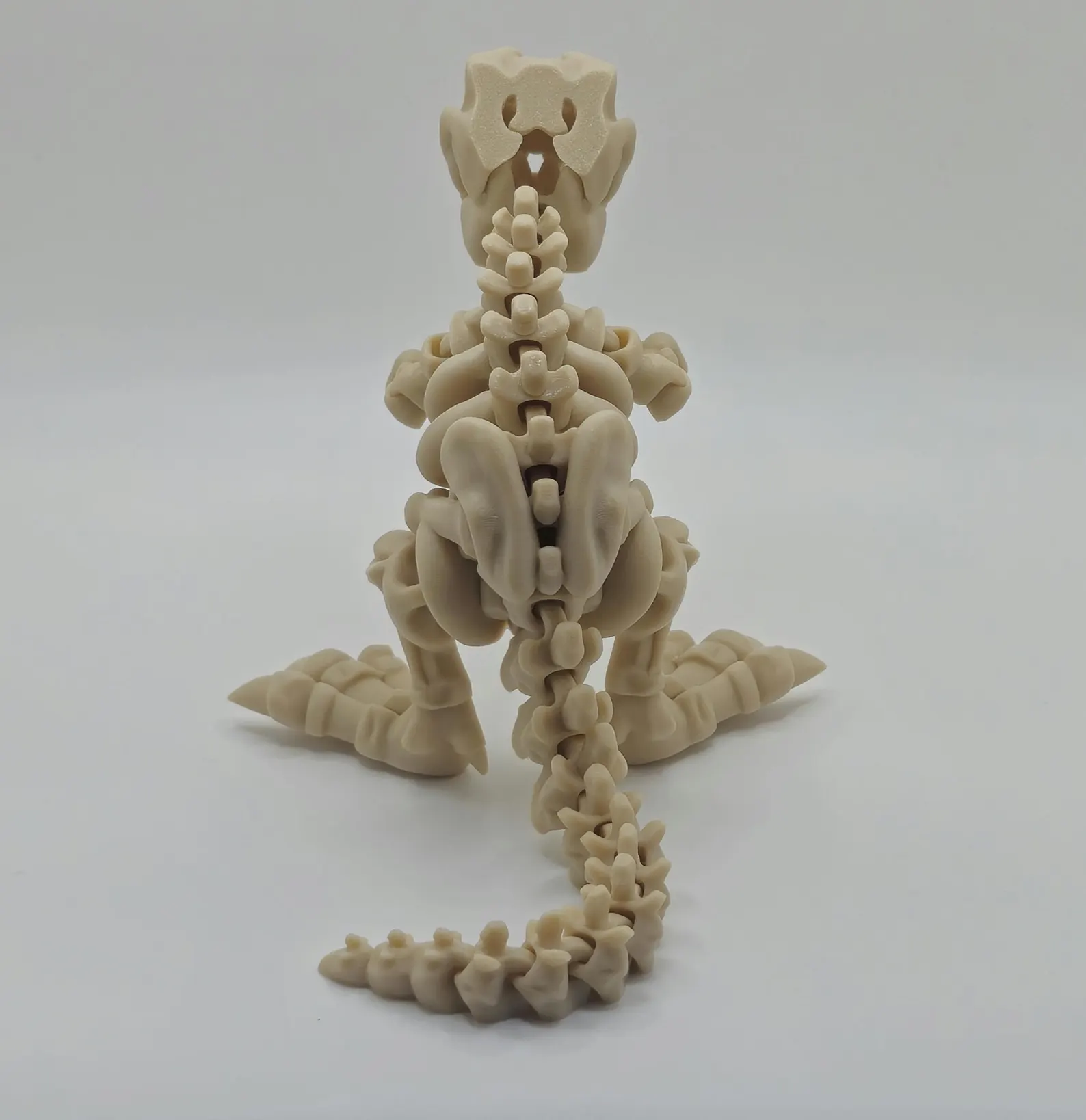 Skeleton T-Rex - Image 3