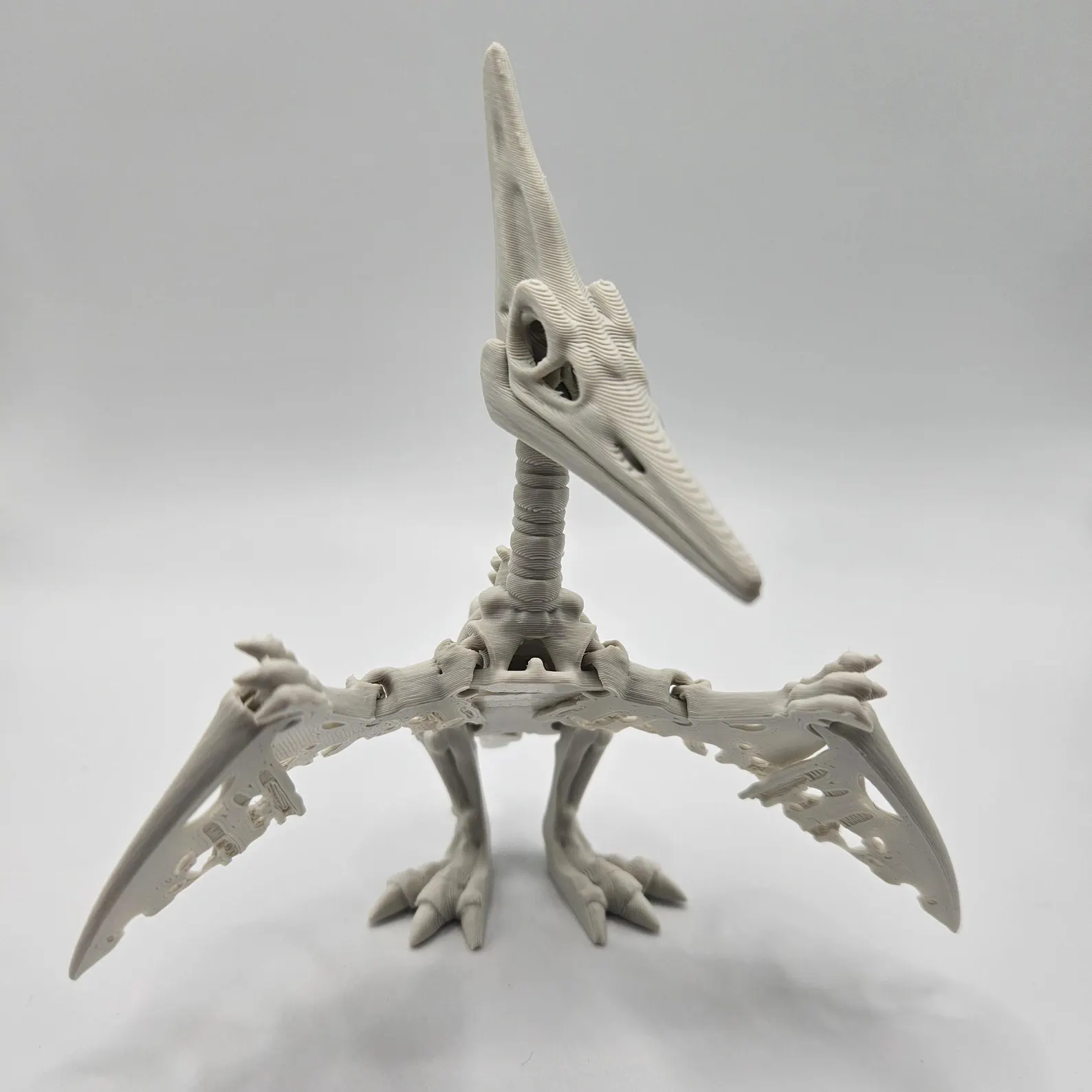XXL Skeleton Pteranodon - Image 2