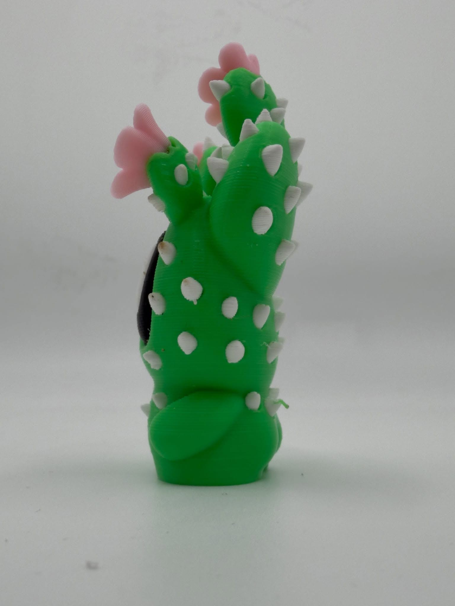 Blobplant, Blooming Prickly Pear - Image 4