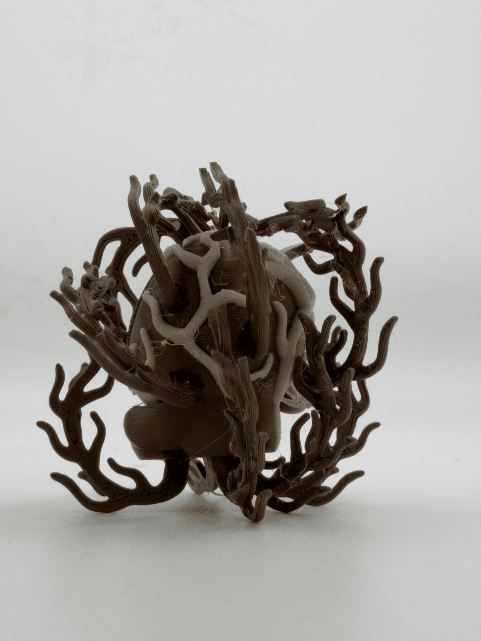 Blobplant, Tumbleweed - Image 3