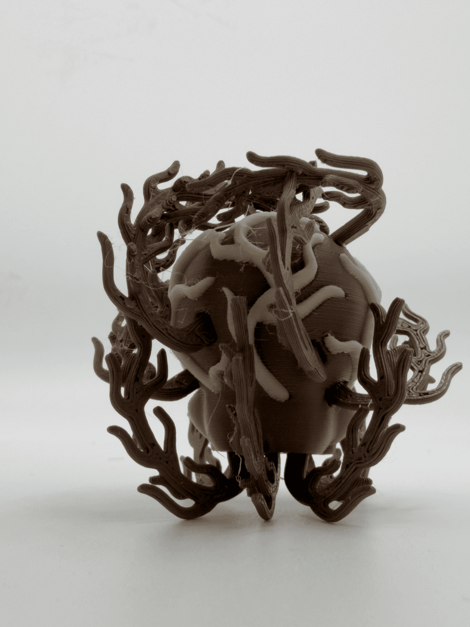 Blobplant, Tumbleweed - Image 4